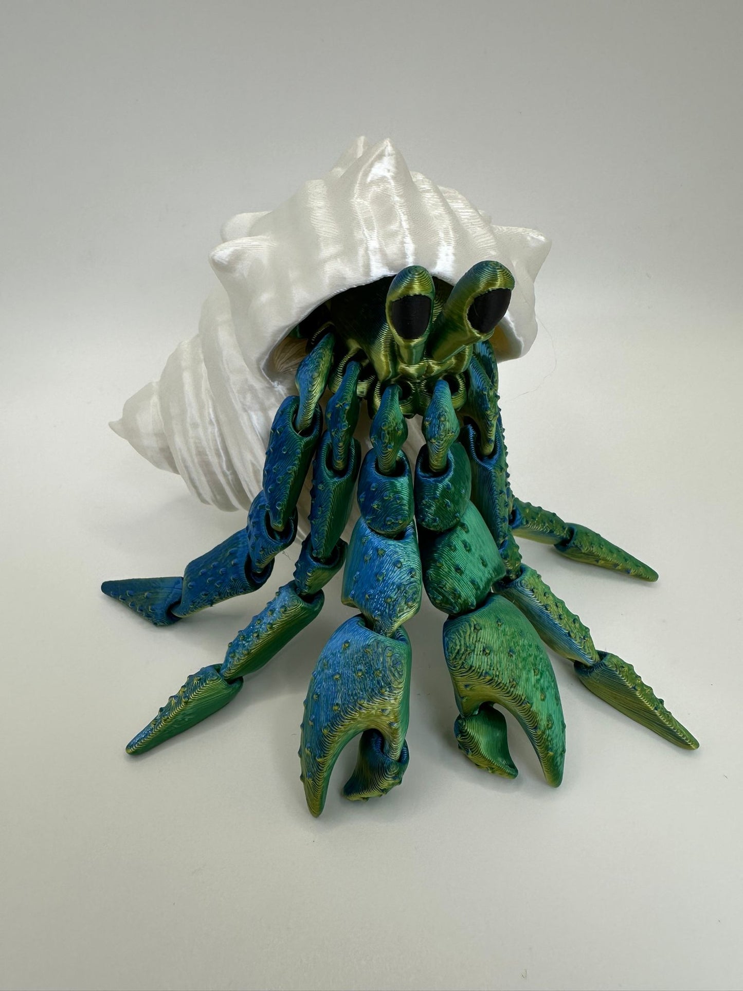 Hermit Crab with Shell