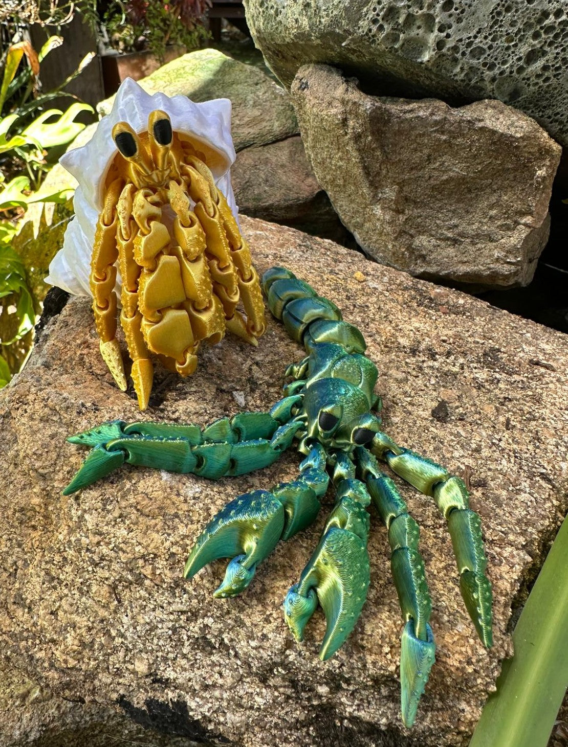 Hermit Crab with Shell