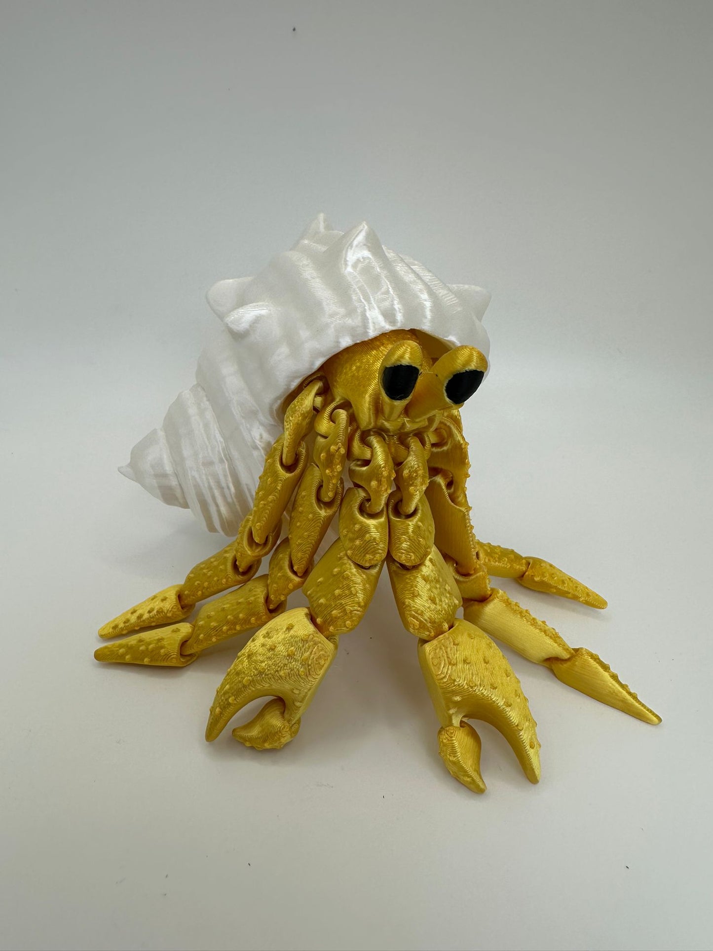 Hermit Crab with Shell