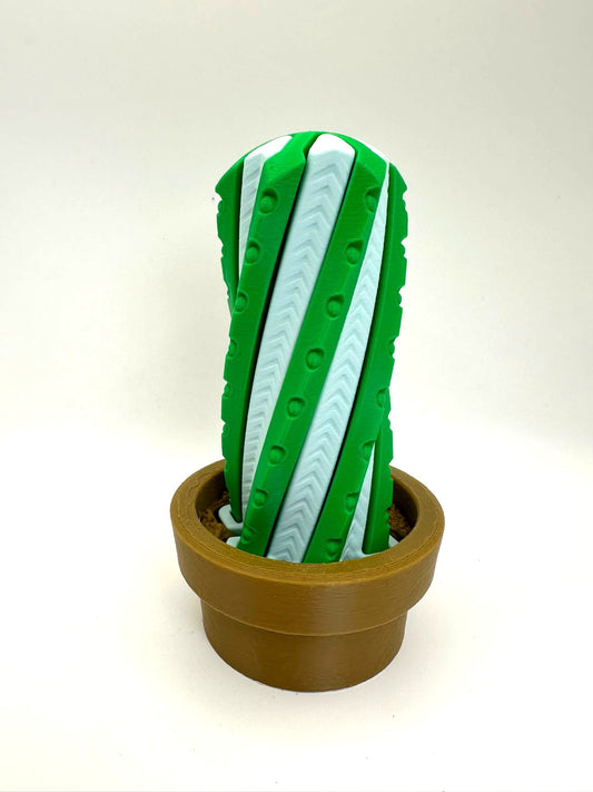 Cactus Fidget