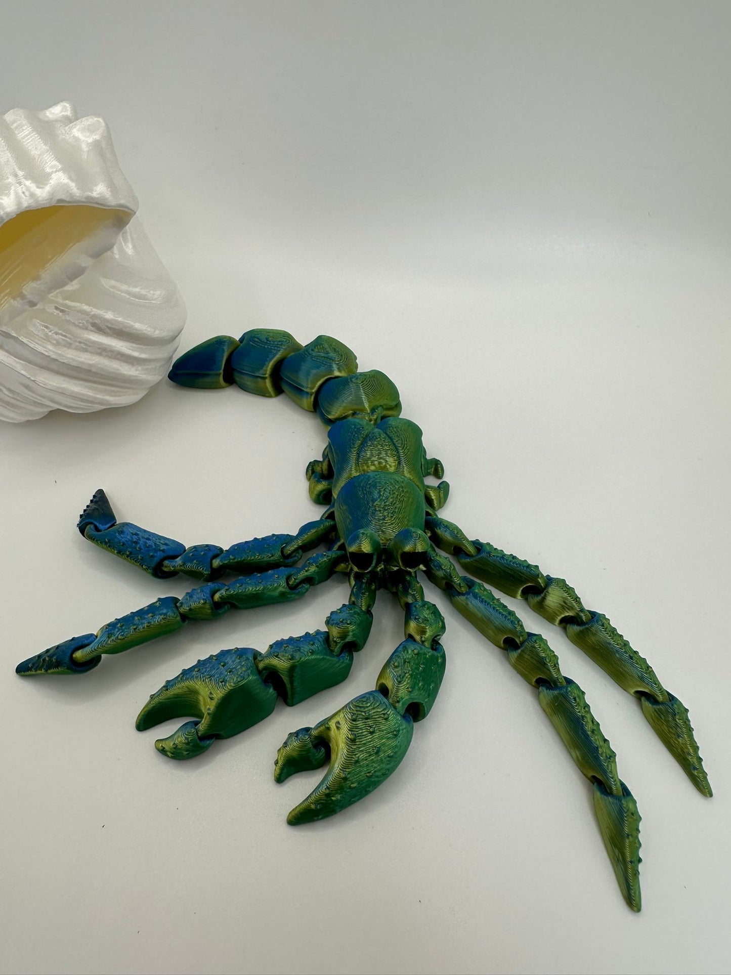 Hermit Crab with Shell