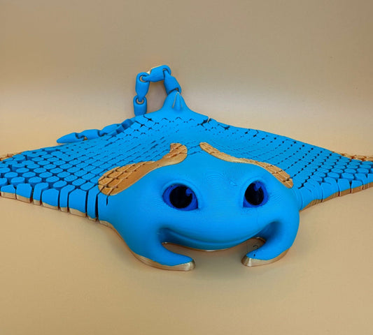 Manta Ray