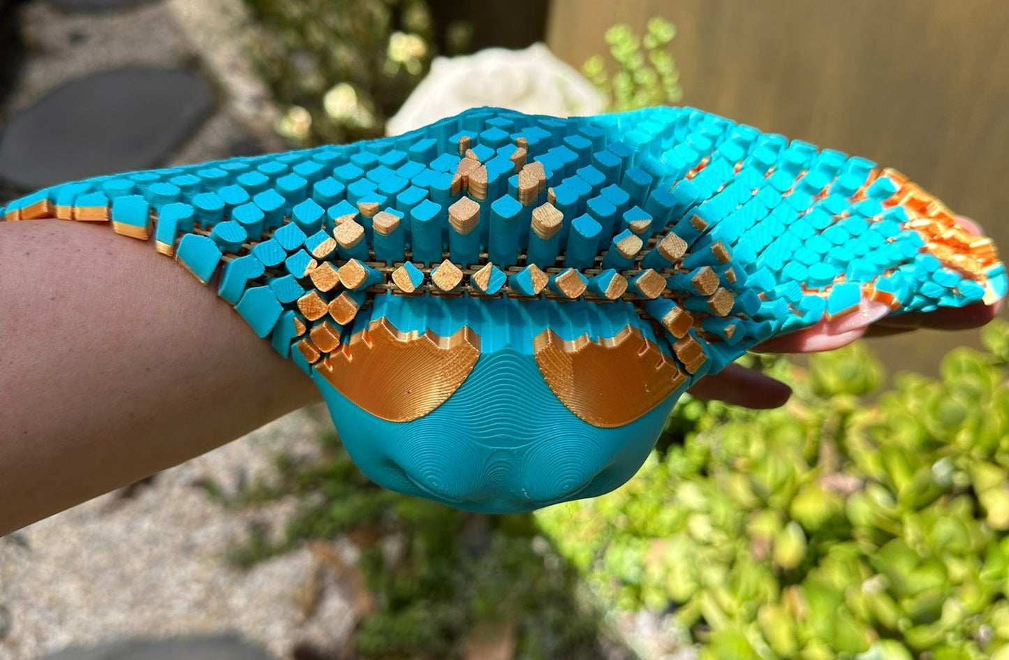 Manta Ray