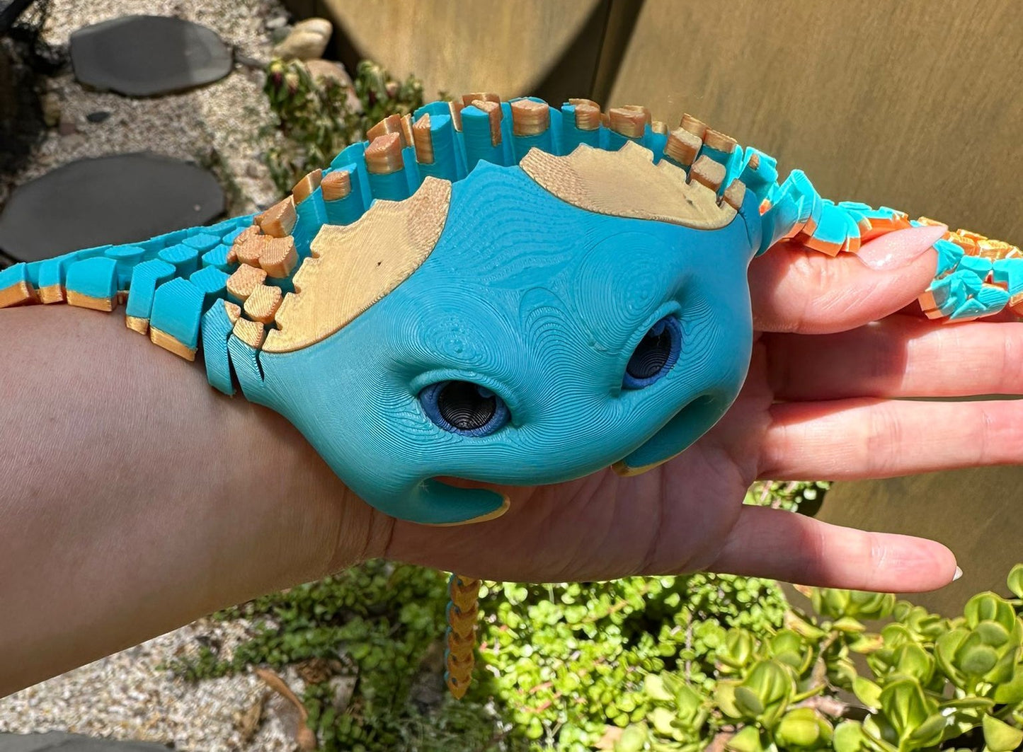 Manta Ray