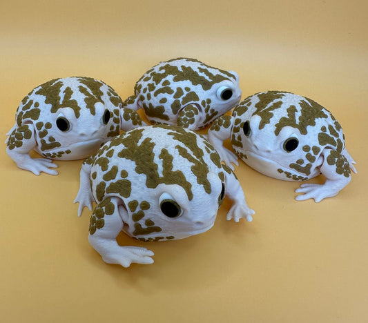 Rain Frog