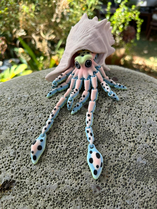 Squid with Shell