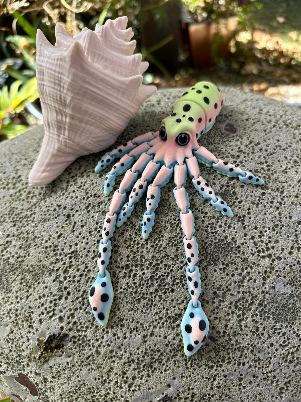 Squid with Shell