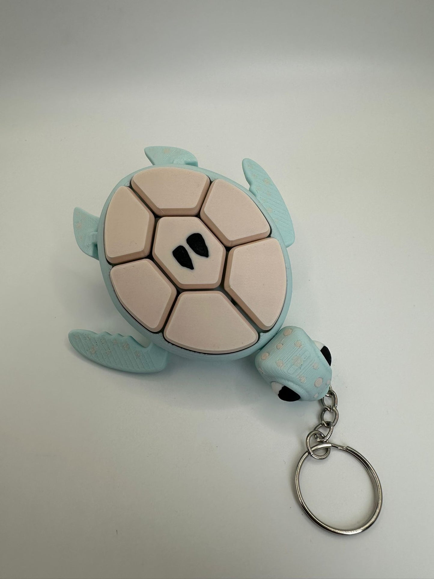 Fruit Turtle Fidget Clicker